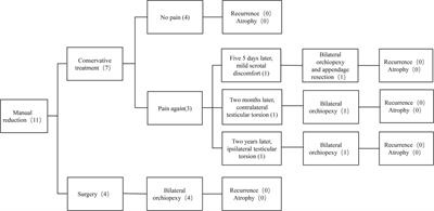 Manual reduction in testicular torsion and subsequent treatment after successful reduction: a series of reports in a single institution